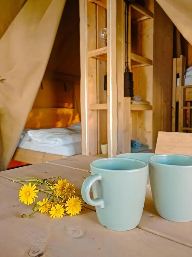 Safari Tent M - Camping Belle-Vue Berdorf Luksustelt